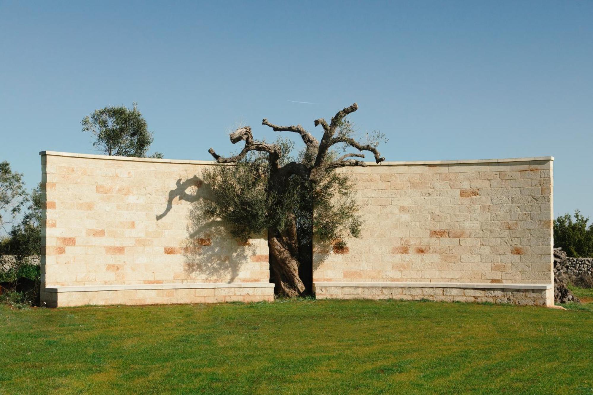 Secolario Masseria Del Viverbene Palmariggi Exteriér fotografie