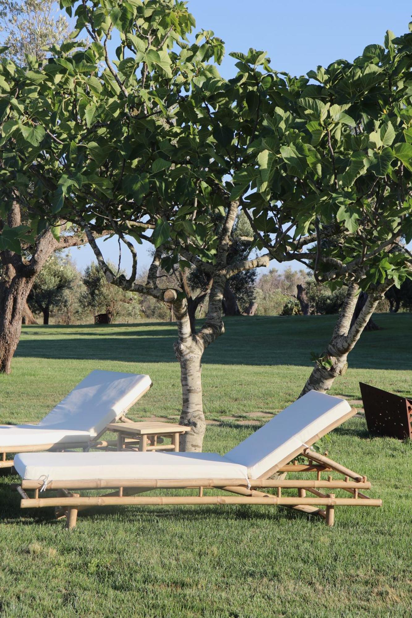 Secolario Masseria Del Viverbene Palmariggi Exteriér fotografie